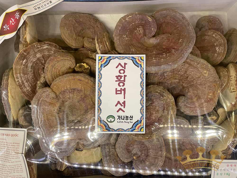 nam-linh-chi-nui-da-han-quoc-1kg