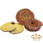 Nấm Linh Chi Hàn Quốc Nonghuyp Cao Cấp - Bịch 1Kg (Hỗ Trợ Thái Lát)