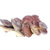 Nấm Linh Chi Hàn Quốc Núi Đá Nguyên Bào Tử | Hộp 1kg