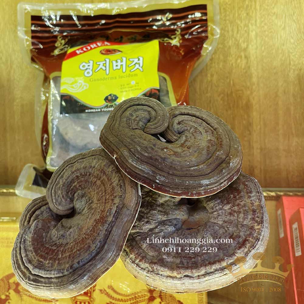 nam-linh-chi-han-quoc-tui-nau-1kg