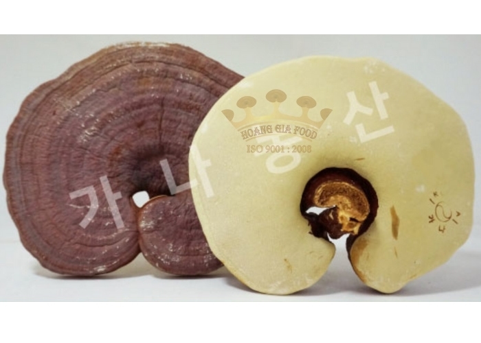 nam linh chi han quoc201 2