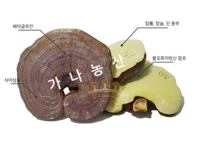 nam-linh-chi-han-quoc2073 nam-linh-chi-han-quoc