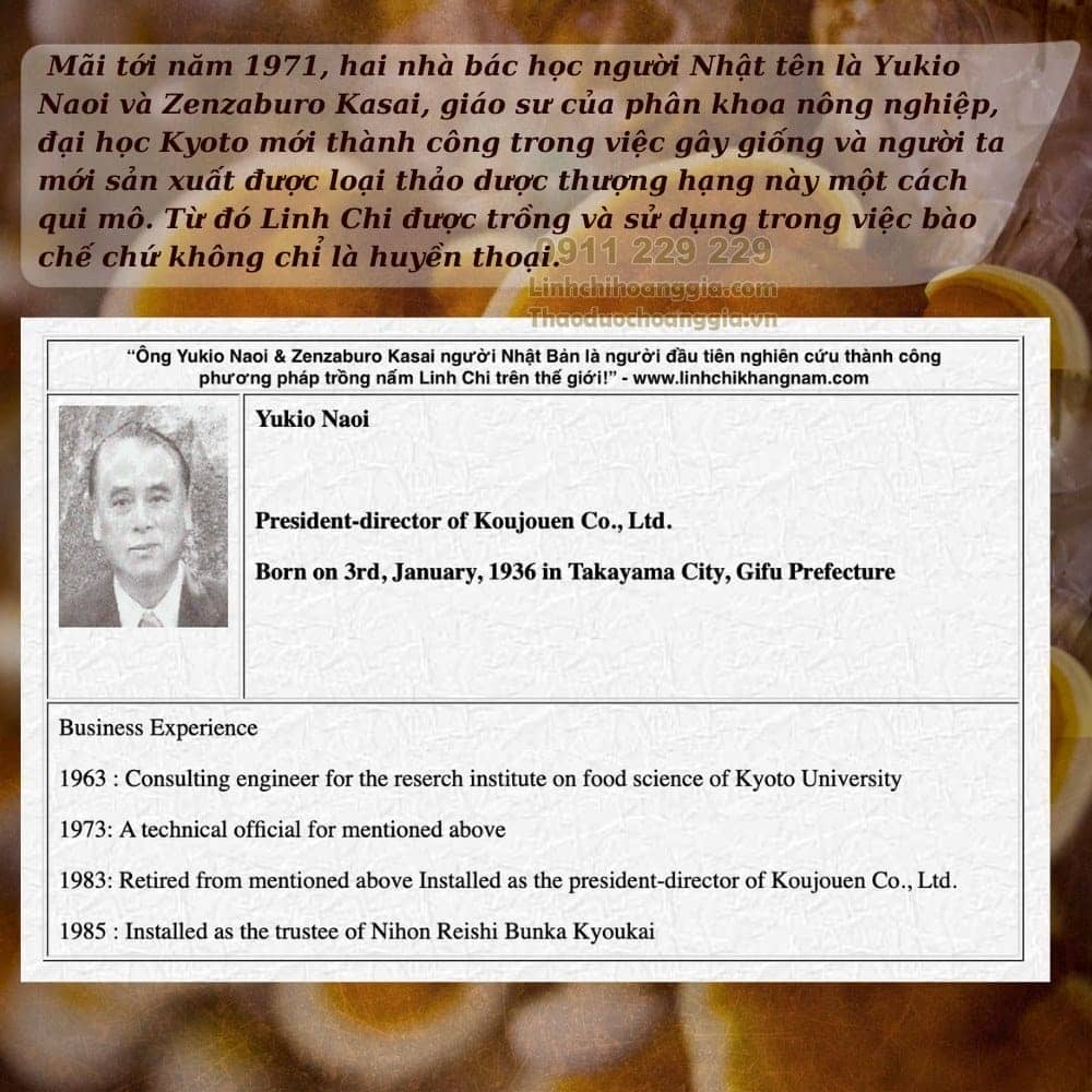 nam-linh-chi-hoang-gia