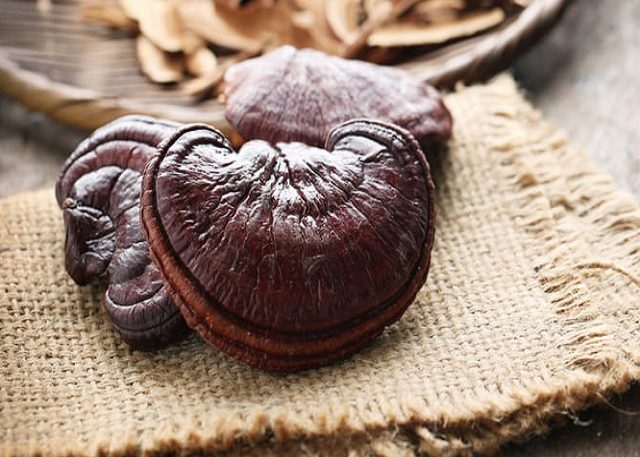 Nấm Linh Chi Đỏ Hoàng Gia Nấm Linh Chi Nhật Bản Thượng Hạng 500g Nguyên Tai