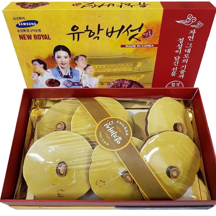 nam-linh-chi-samsung-han-quoc