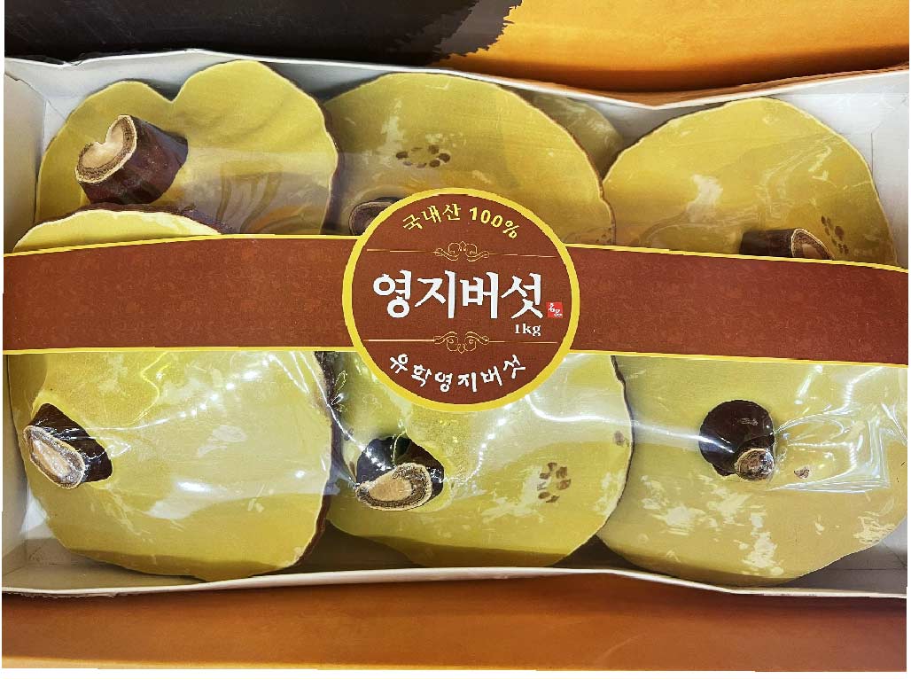 nam-linh-chi-samsung-han-quoc