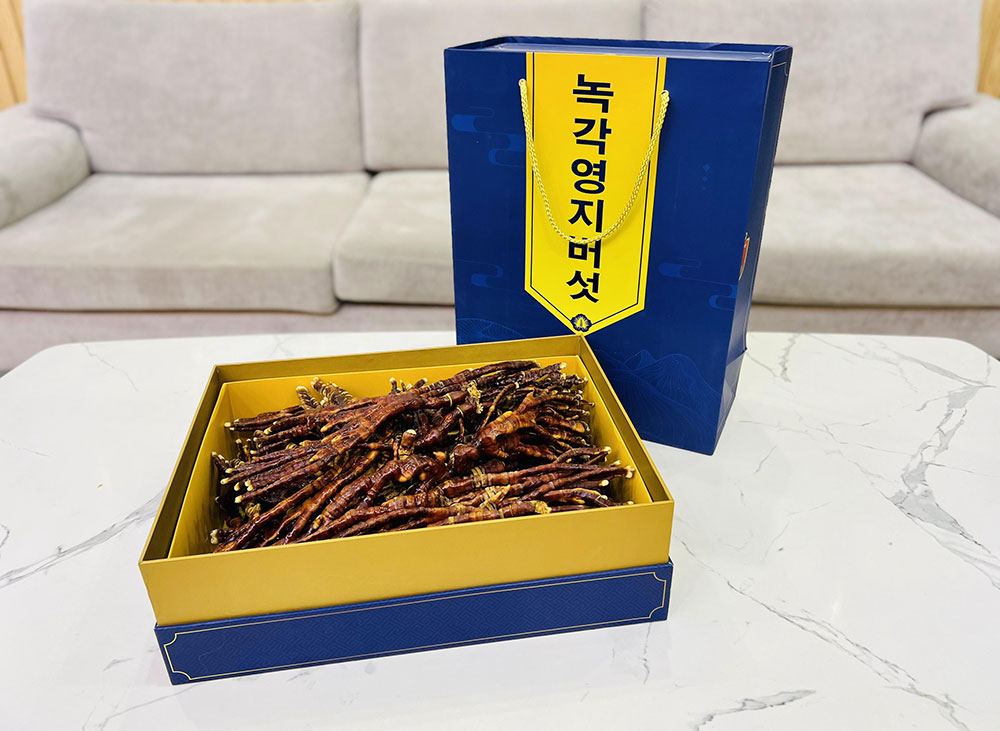 nam-linh-chi-sung-huou-han-quoc-royal2 nam linh chi sung huou han quoc royal2