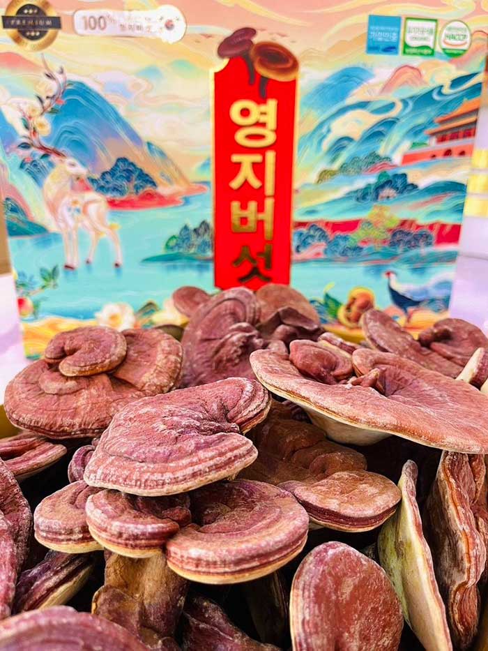 nam linh chi tien vua hoang gia3