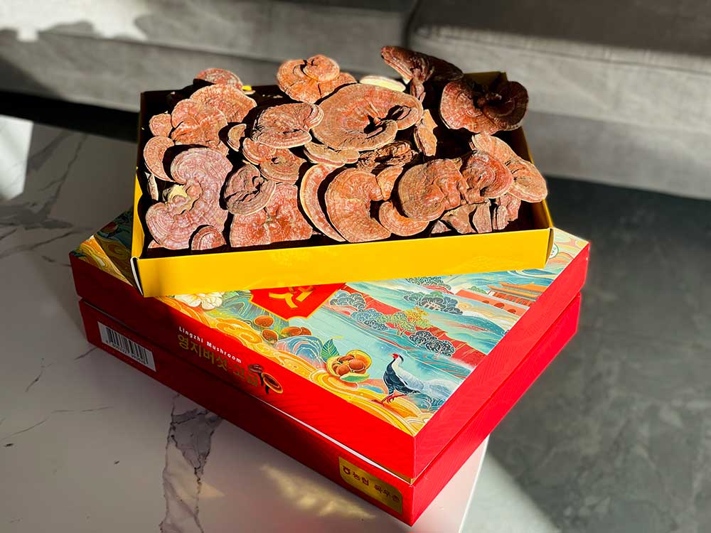 nam linh chi tien vua hoang gia6