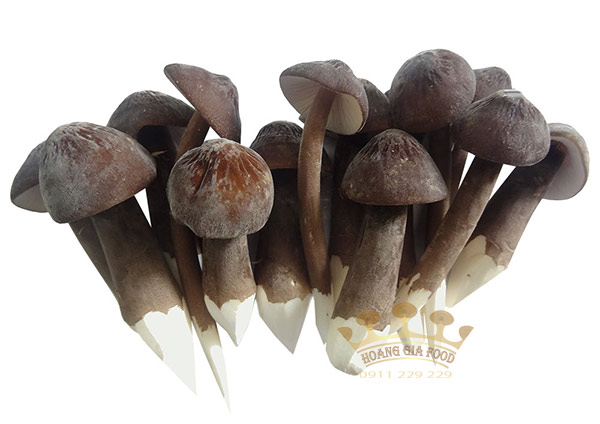 nam-moi-den-nuoi-trong