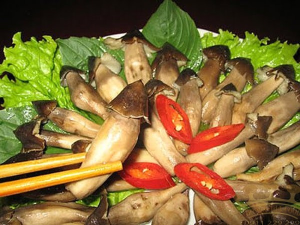 nam-moi-vao-mua-ngon