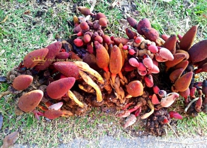 nam-ngoc-cau-ngam-ruou