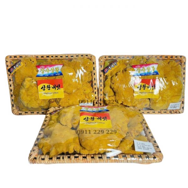 Nấm Thượng Hoàng Hàn Quốc Nhập Khẩu Nguyên Khay 500g