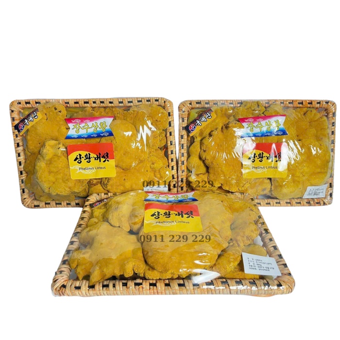 nấm thượng hoàng khay 500g