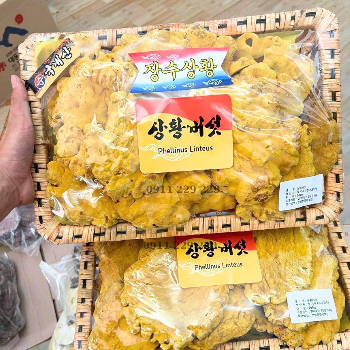 sản phẩm nấm thượng hoàng tại cửa hàng hoàng gia