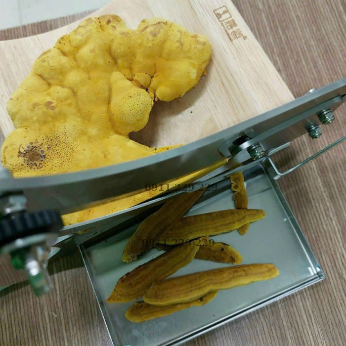 nấm thượng hoàng có hỗ trợ thái lát