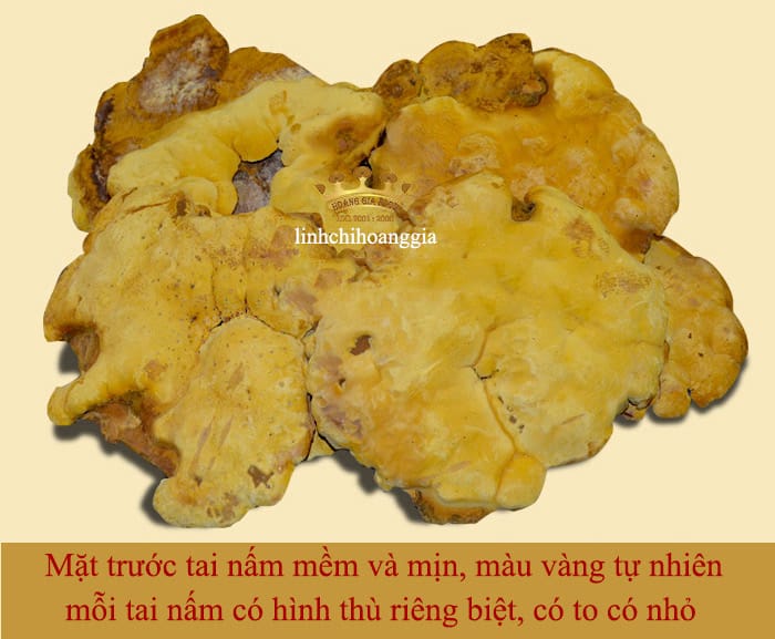 nam-thuong-hoang-han-quoc-that202-1 nam-thuong-hoang-han-quoc-that