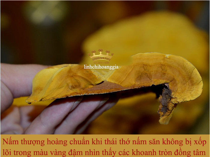 nam-thuong-hoang-han-quoc-that