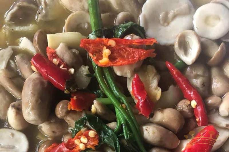 nam-tram-cay-dang-ngon