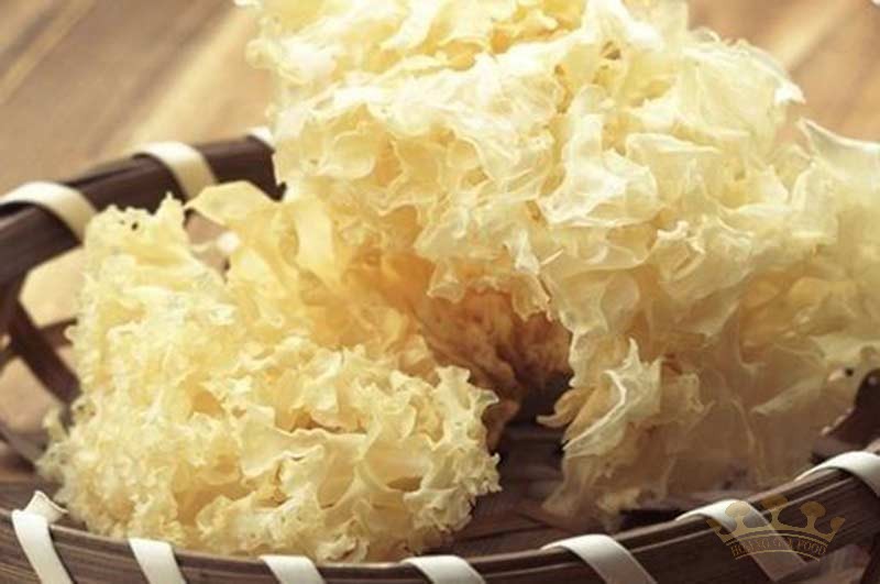 nam-tuyet-moc-nhi-trang1-1 nam-tuyet-moc-nhi-trang