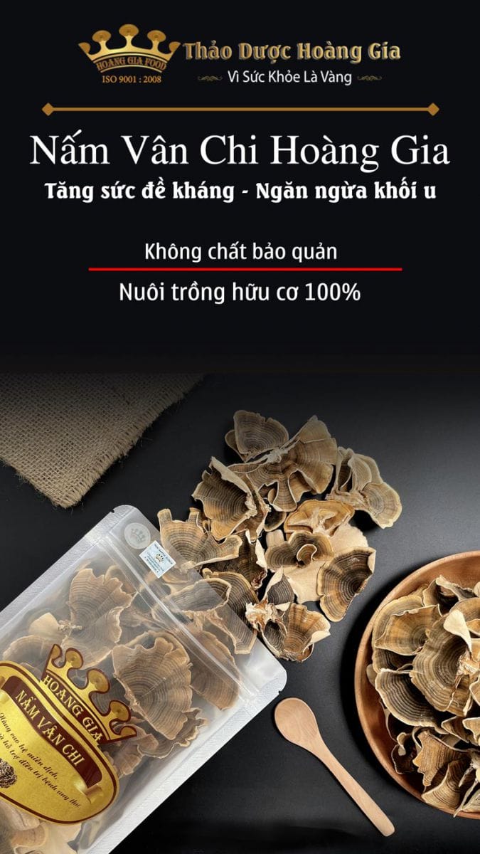 nam-van-chi-hoang-gia