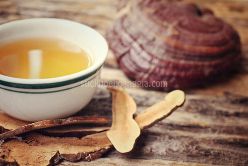 nam-linh-chi-giam-can