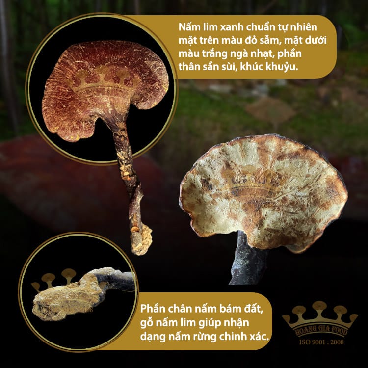 nen-anh-nam-lim-xanh1 nam-lim-xanh-tu-nhien-500g