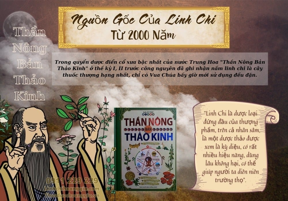 ngue1bb93n20ge1bb91c20linh20chi20cc3a1ch20c491c3a2y20200020nc483m