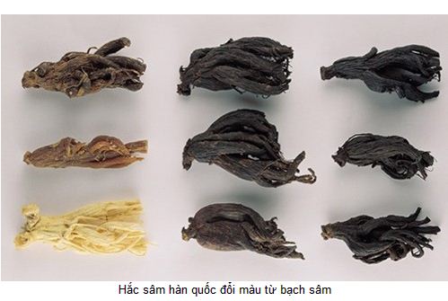 nhung-dieu-can-biet-ve-hac-sam-han-quoc-2 nhung-dieu-can-biet-ve-hac-sam