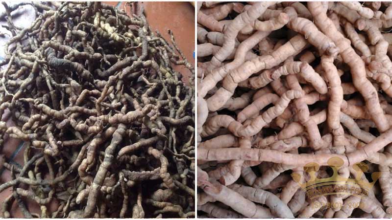 phan-biet-ba-kich-rung-va-nuoi-trong phan-biet-ba-kich-rung-va-nuoi-trong