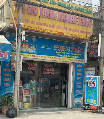 phong20the1baa3o20bic3aan20hc3b2a phong20the1baa3o20bic3aan20hc3b2a