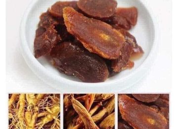 Nhân Sâm Hàn Quốc: Tổng quan toàn diện về thảo dược