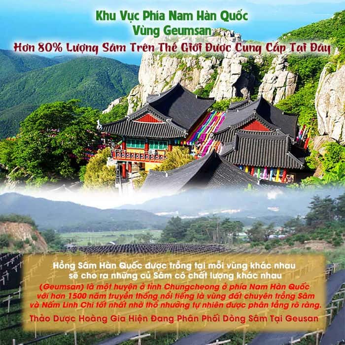 sam-tuoi-han-quoc-san-pham2019-3 sam-tuoi-han-quoc-8-cu