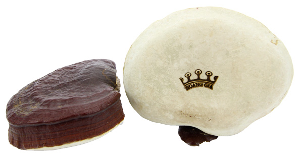 tai ne1baa5m nhe1baadt1 3