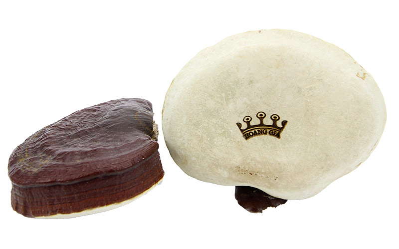 nam-linh-chi-hoang-gia