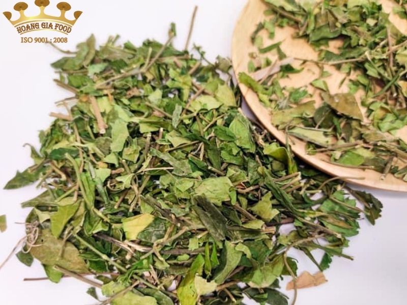 thia-canh203 thia-canh