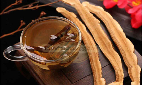 co-can-su-dung-linh-chi-do-khong