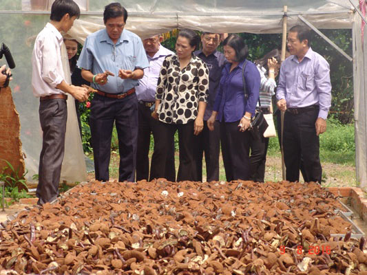 trai-nam-linh-chi3-1 trai-nam-linh-chi