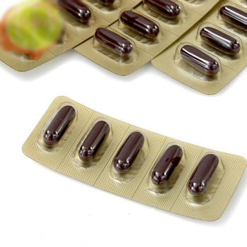 vien hong sam linh chi bio 2