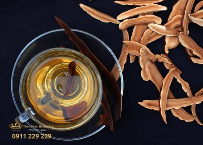 Trà nấm Linh Chi và mật ong tươi, sản phẩm tự nhiên cao cấp.