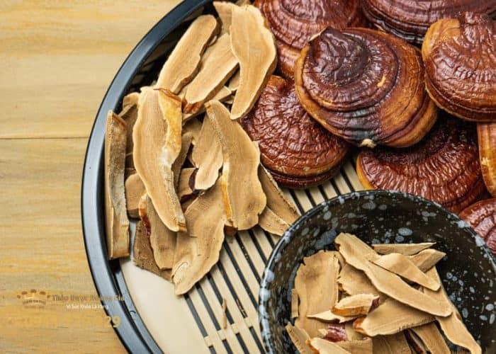 Nấm Linh Chi Hoàng Gia chất lượng cao, an toàn, tốt cho sức khỏe.