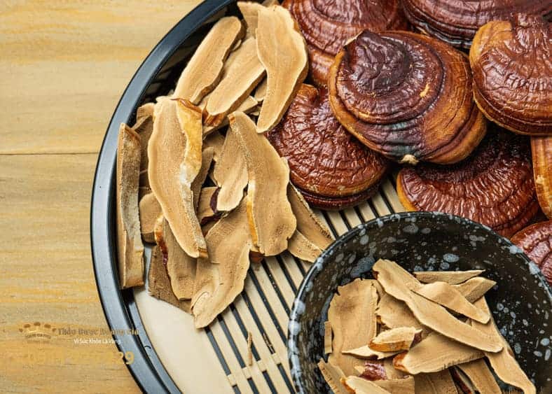 Nấm Linh Chi Hoàng Gia chất lượng cao, an toàn, tốt cho sức khỏe.