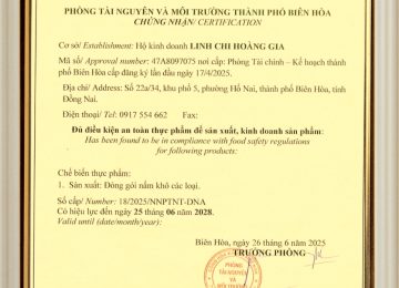 Lựa Chọn Vàng Cho Mọi Nhà Khi Mua Nấm Linh Chi