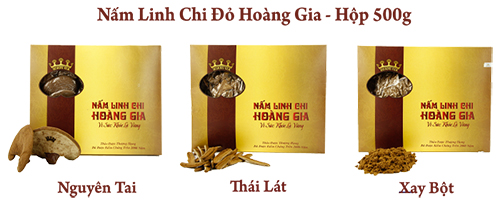 nam-linh-chi-viet-nam-loai-1