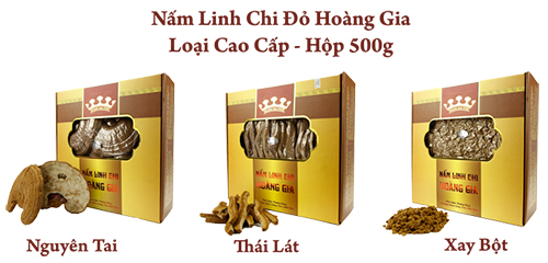 nấm linh chi việt nam cao cấp