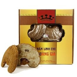 Nấm Linh Chi Việt Nam Cao Cấp | Hoàng Gia