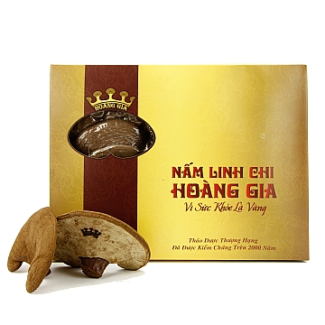 linh chi hoang gia truyen thong 22 1