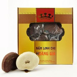 Nấm Linh Chi Nhật Bản Thượng Hạng | Hoàng Gia
