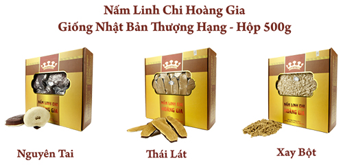 nấm linh chi nhật bản